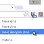 anonym_chrome.png